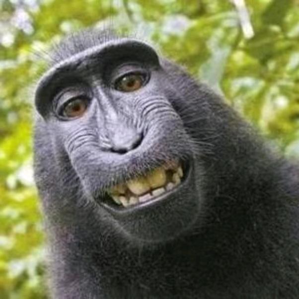 我的名字30天内已修改0次