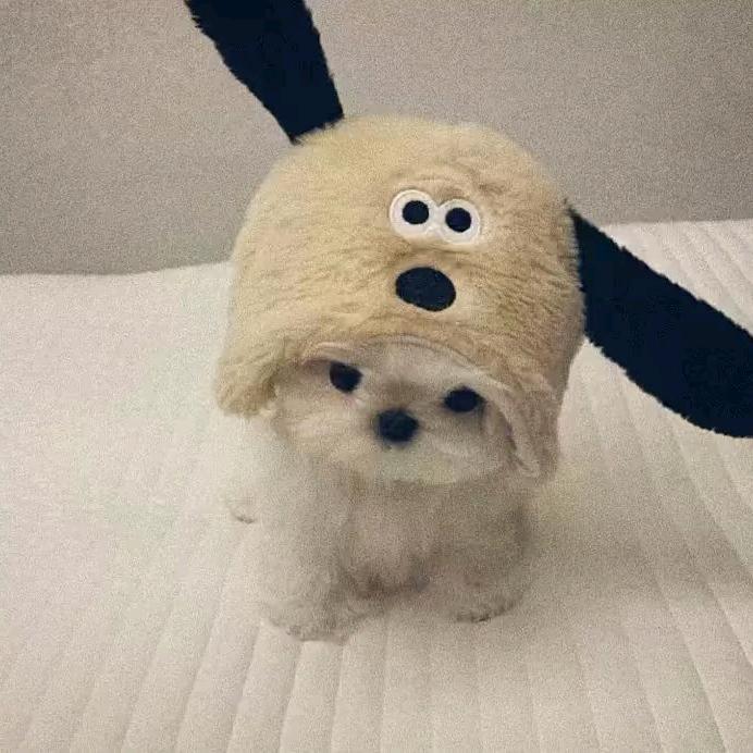 旺旺队