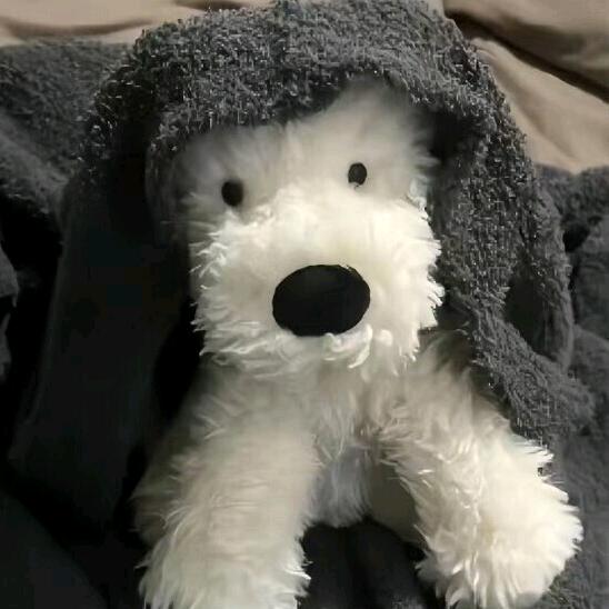 一生喜欢、爱，一个人就够了