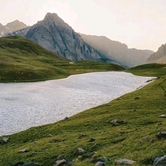 重生之这次我要当药理天才