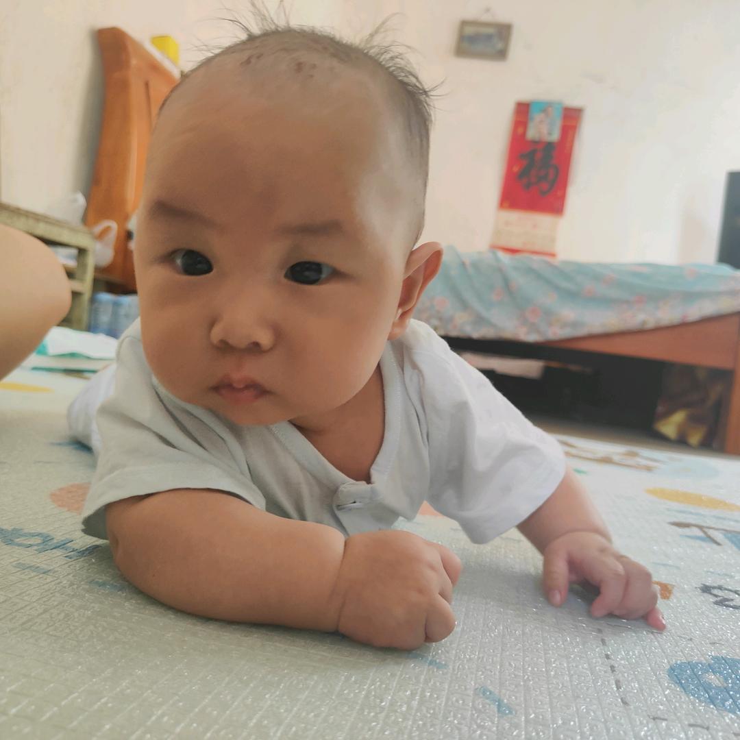 小猪麻麻（二胎孕期）