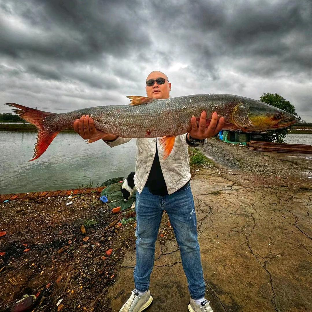大光头钓鱼🎣