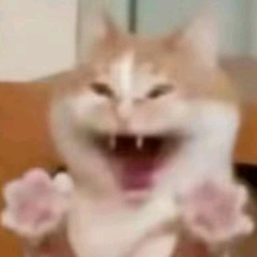 好多好多好多愚