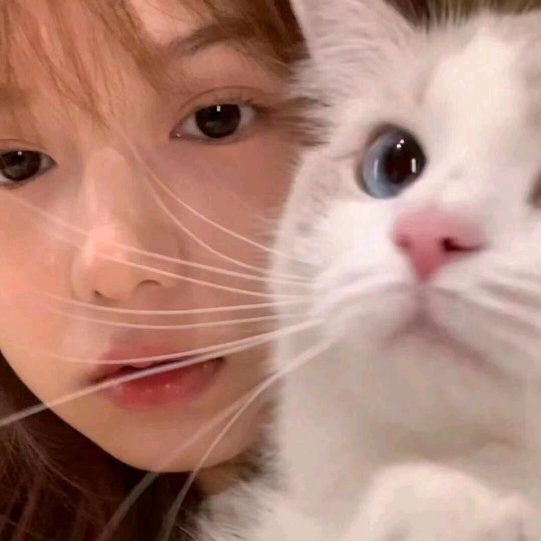 小琳大爆炸₍˄·͈༝·͈˄*₎◞ ̑̑