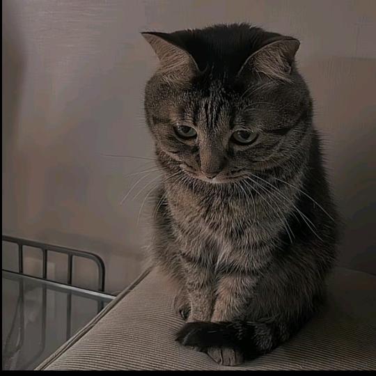 @陌若安生ヾ(❀╹◡╹)ﾉ~