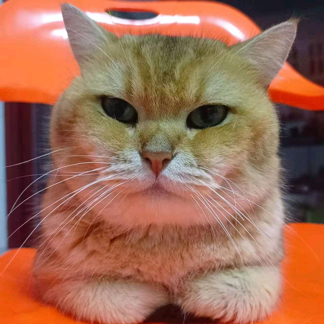 @🌈ꦼྀ⃝永ꦼྀ⃝久৫卋罖＋罖亽♡৫