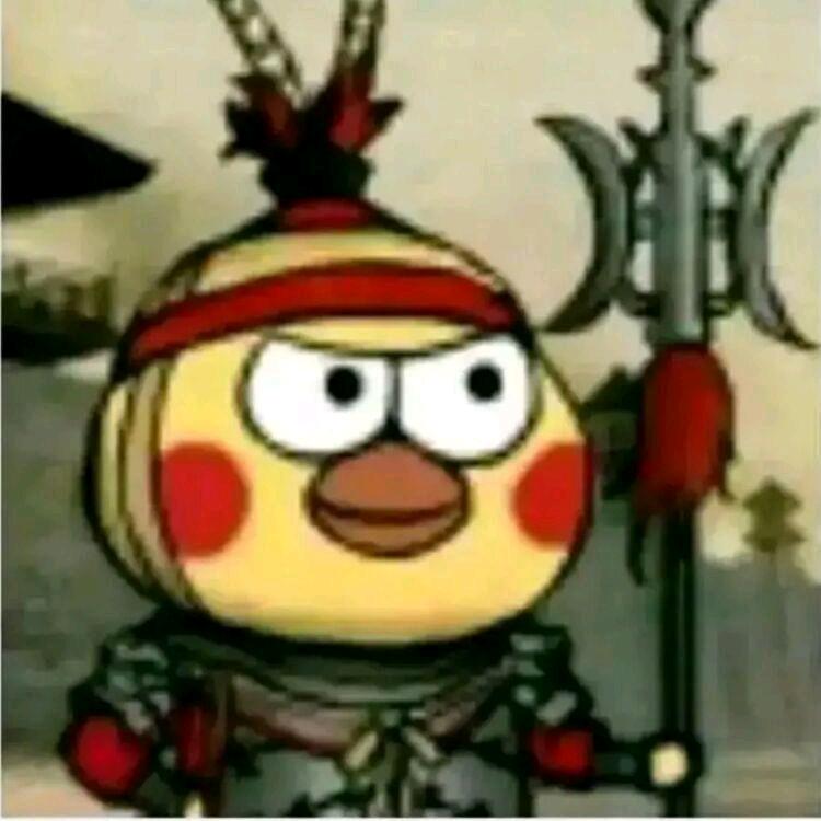 寰轩