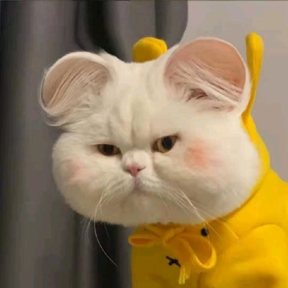 肥头大耳