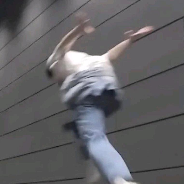 芝士土土头像