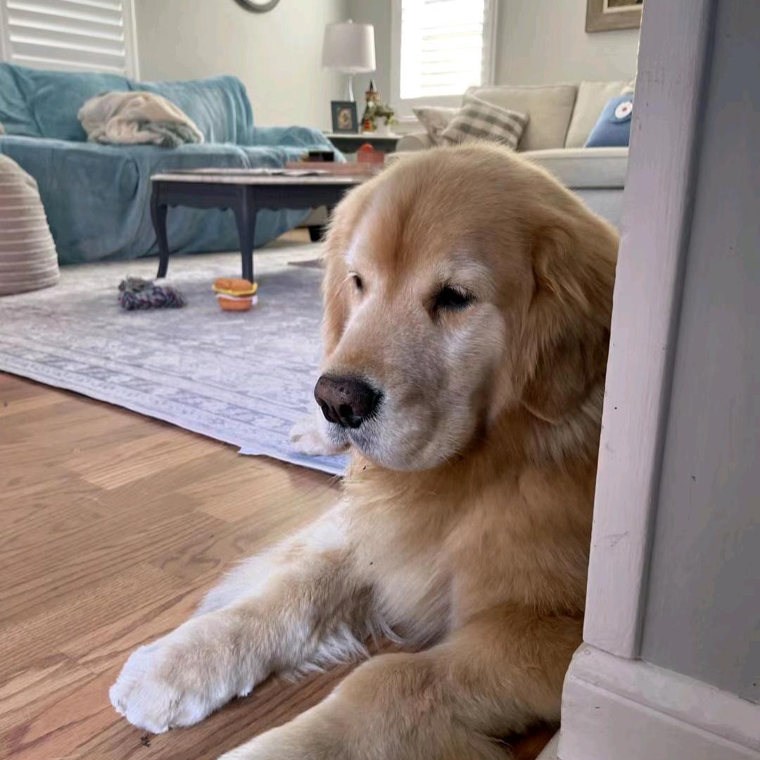 你哥说不认识你