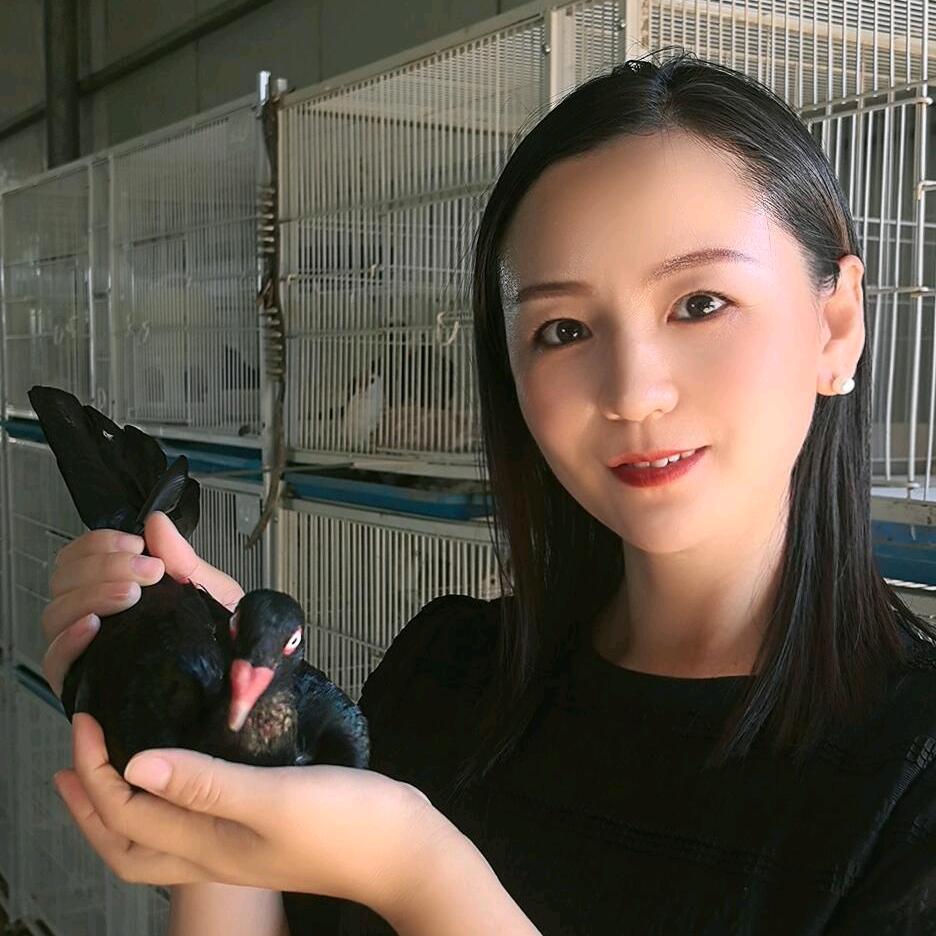 小烨＋梨园观赏鸽基地