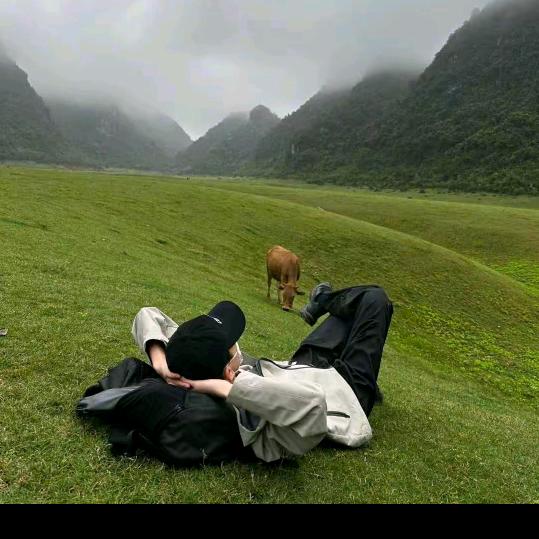 摩尔