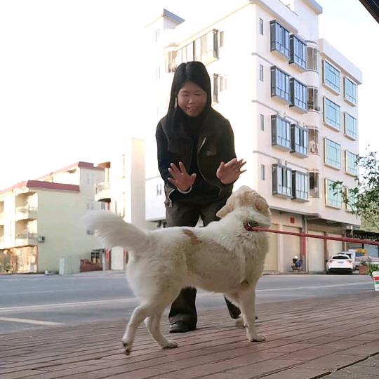 @小金～喜💞感激遇见您💞谢谢您的关注