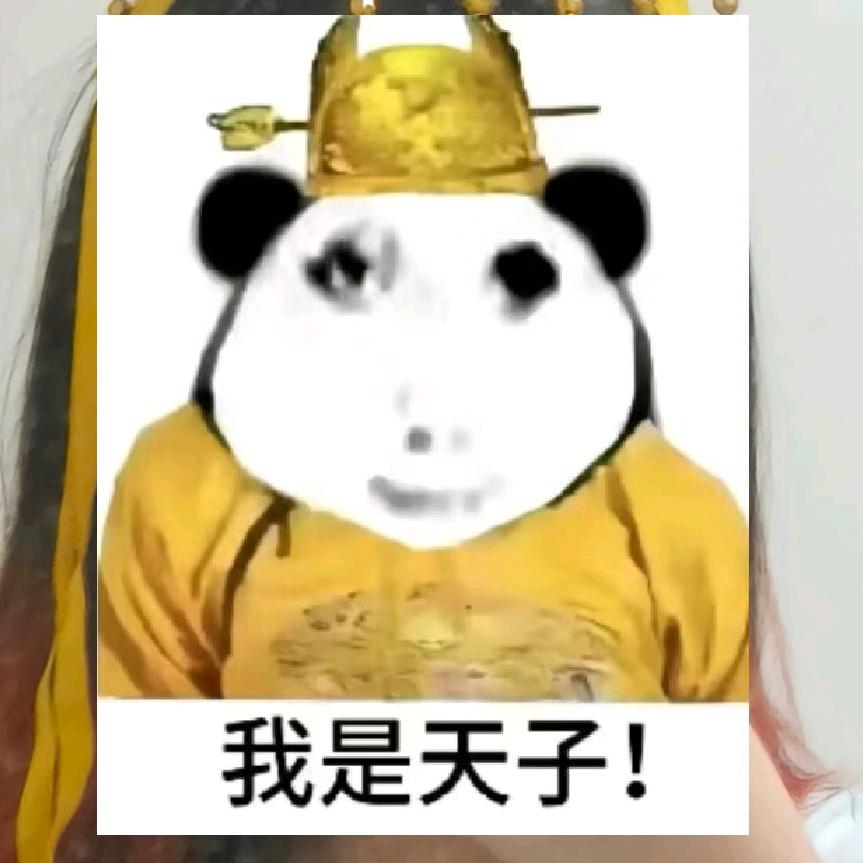 塔维特