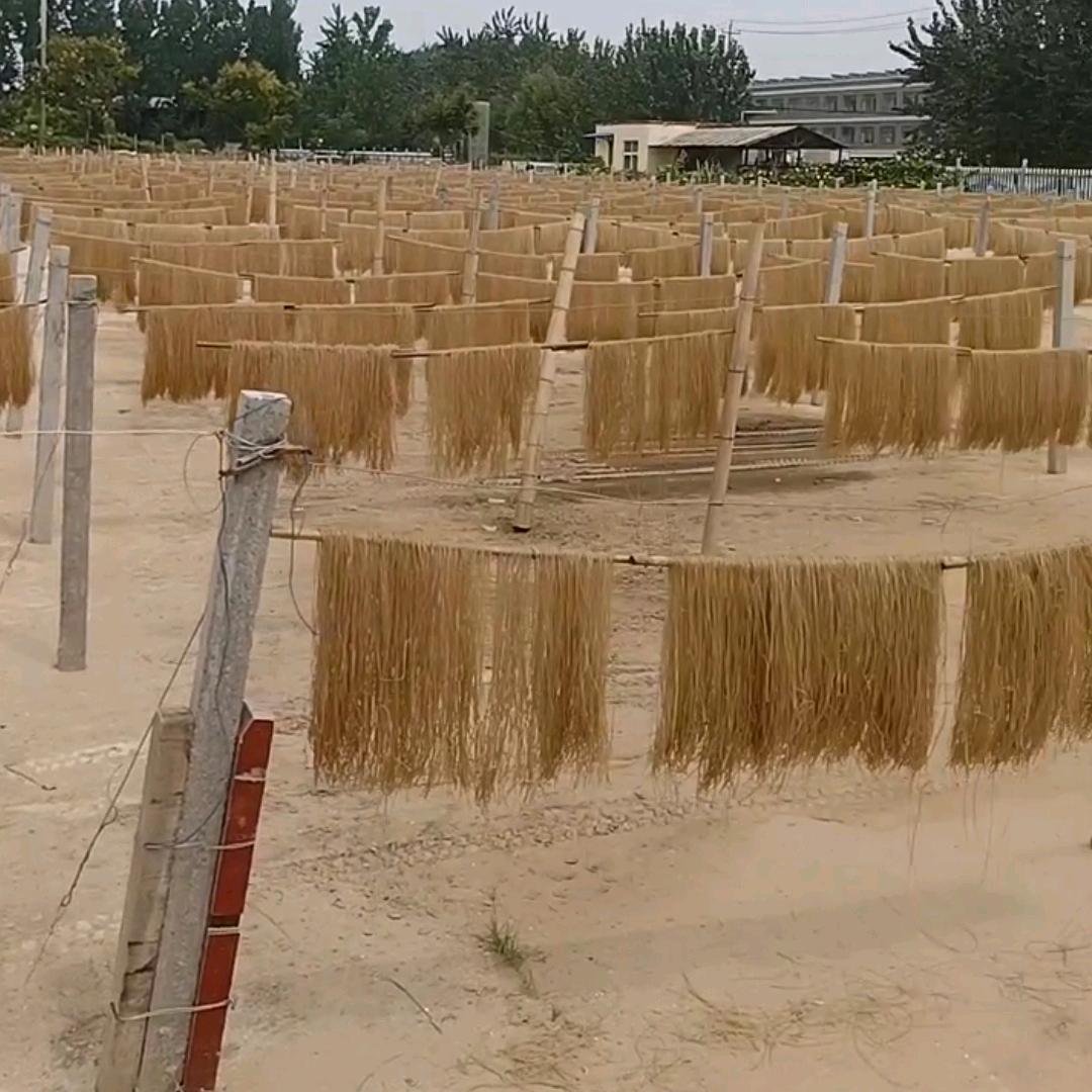 红薯粉条（曹县）有限公司。