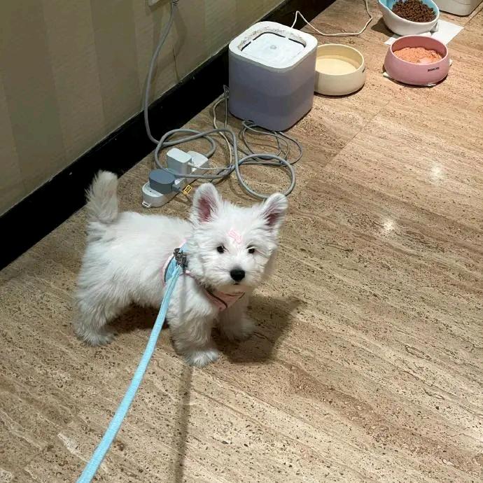 趣名头像