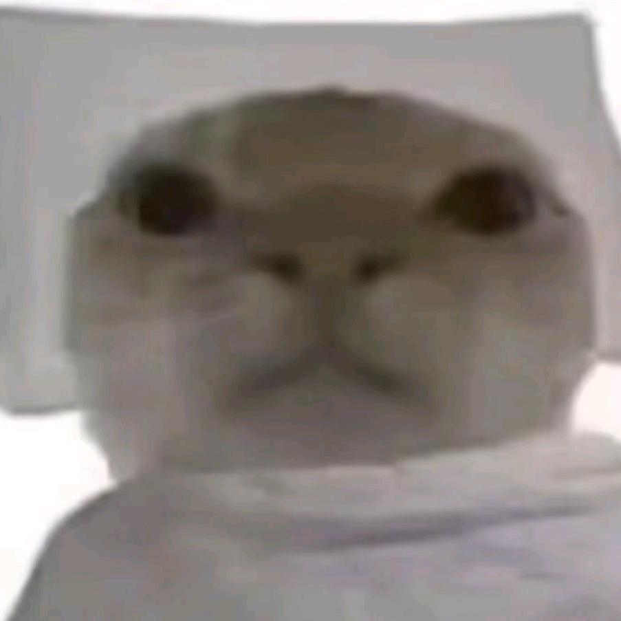 卡莫纳第一刀