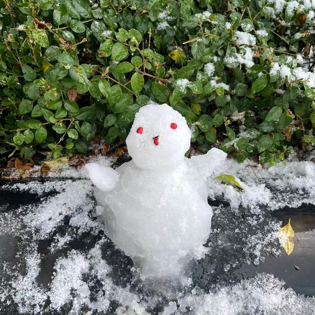 惠乐鸿赣南脐橙果园