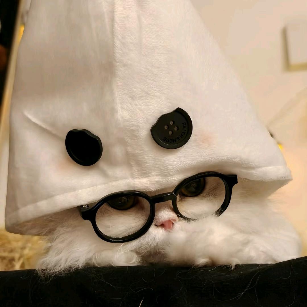 寓