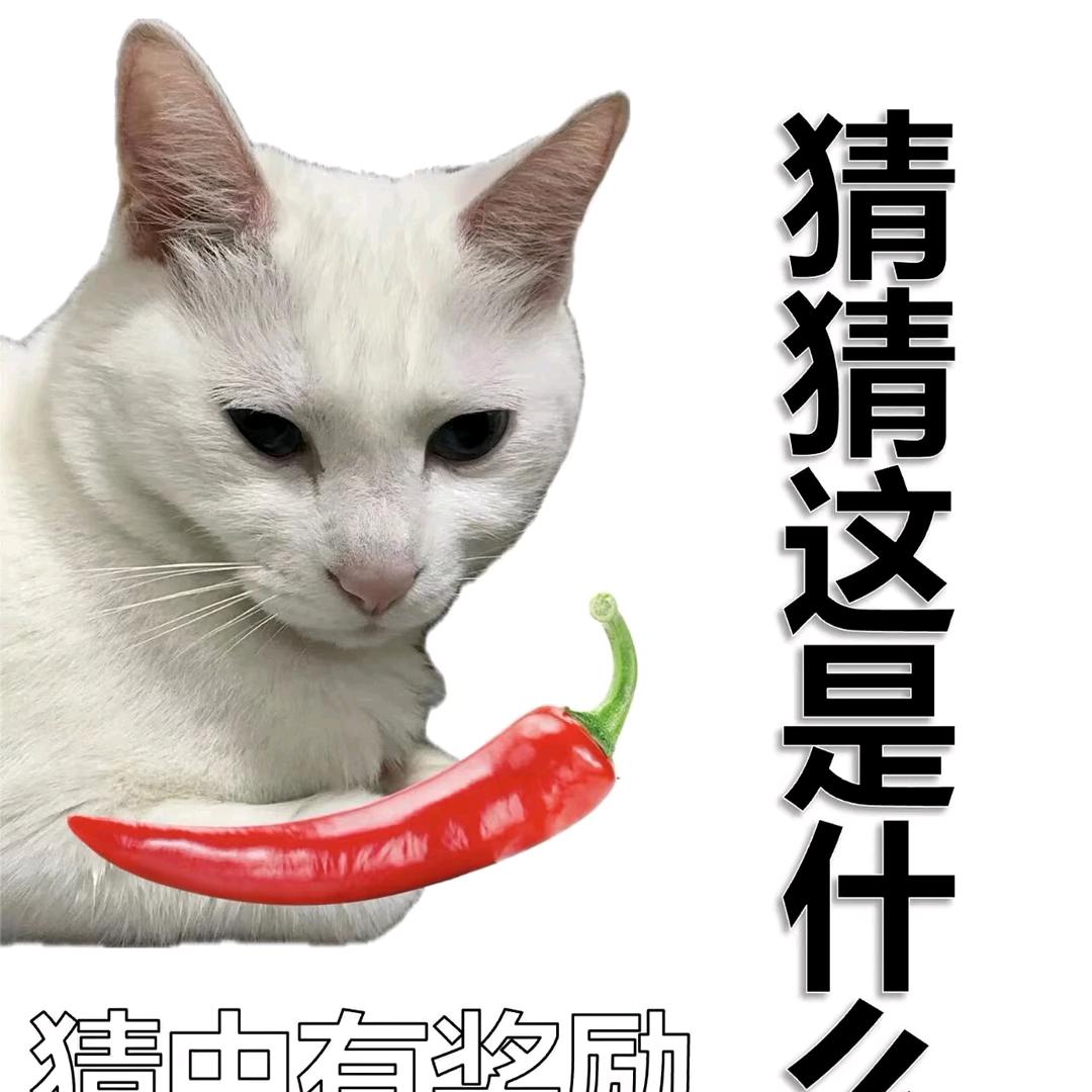 你就过分