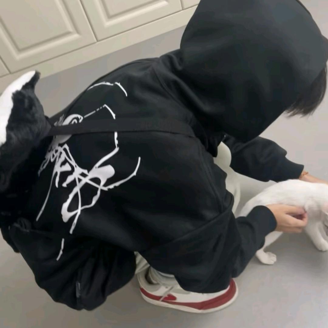 讨厌鬼z
