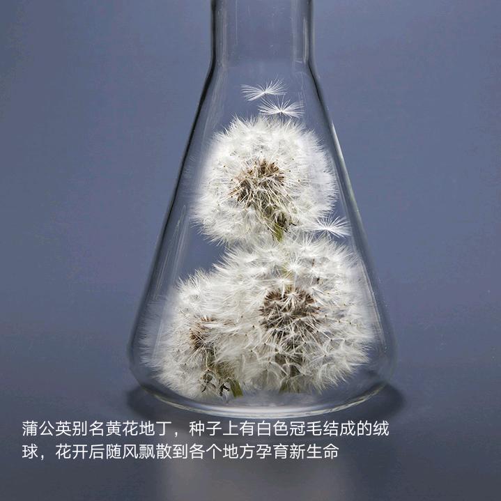 小嘟嘟