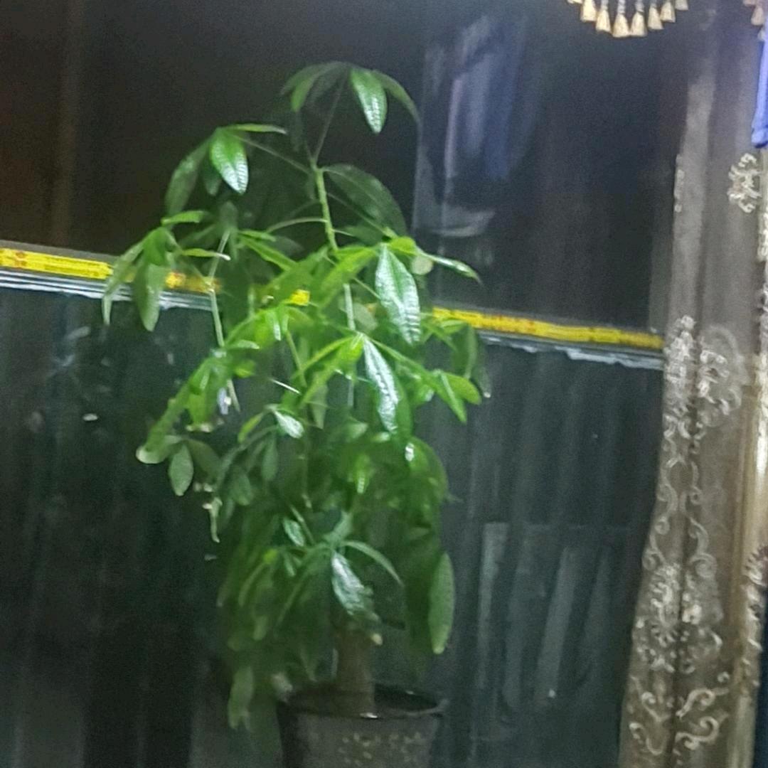 用户≈回眸泪倾↗城≈