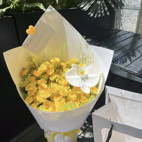冰之芯