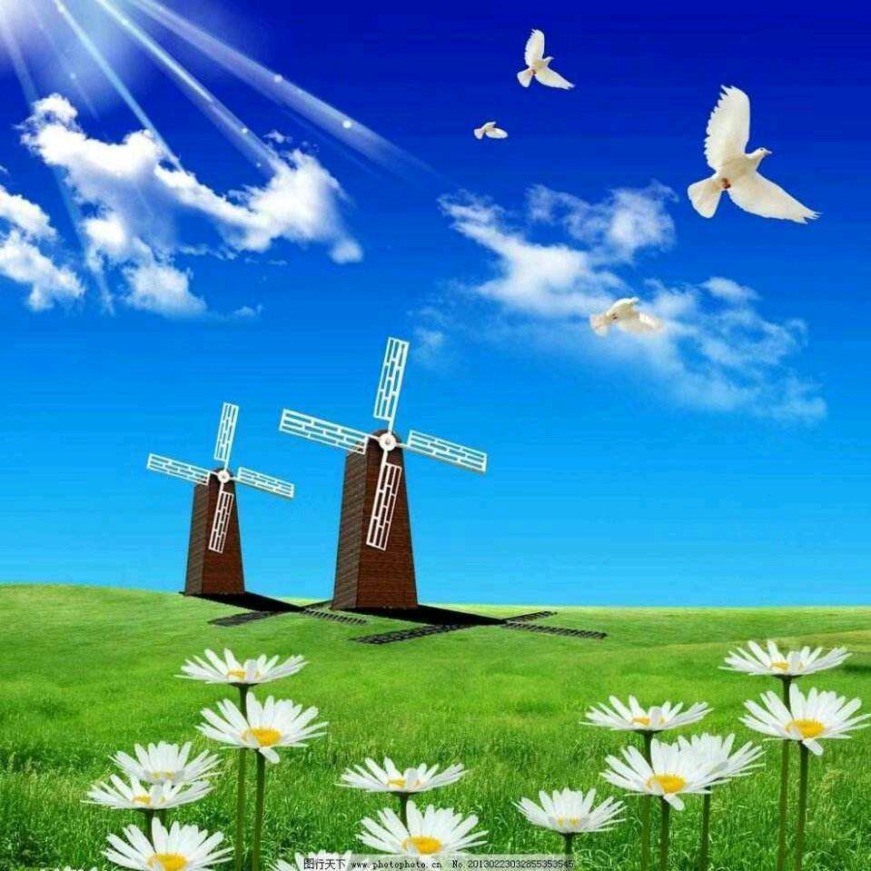 Happy life