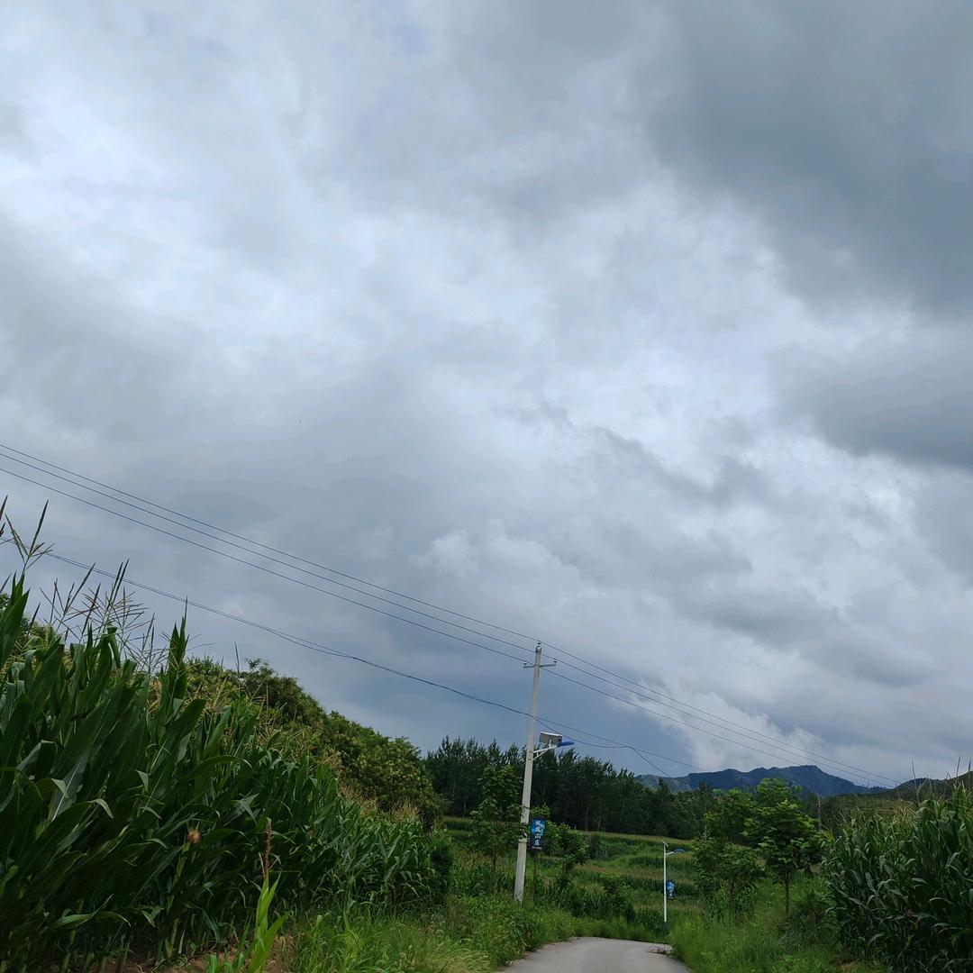 燕