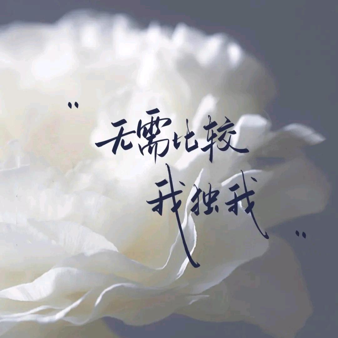 ￥她