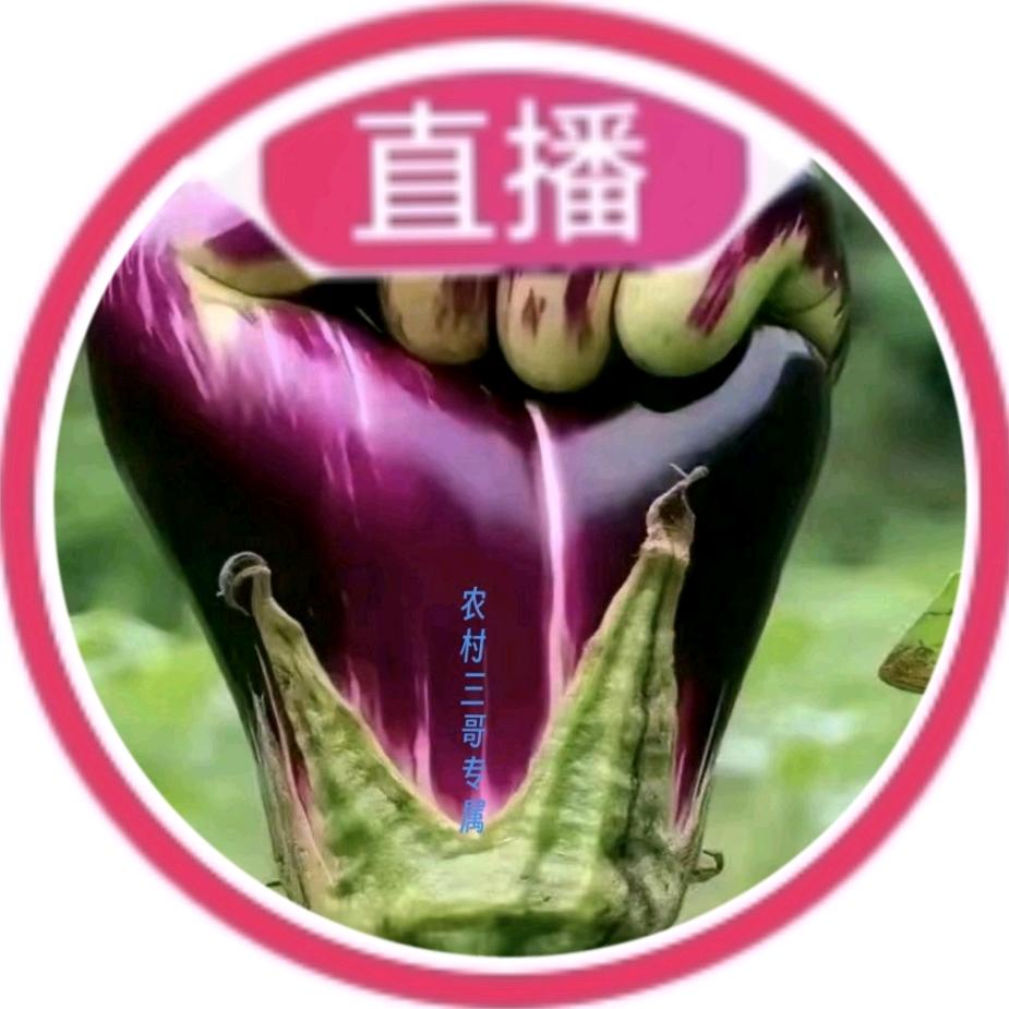 农村三哥