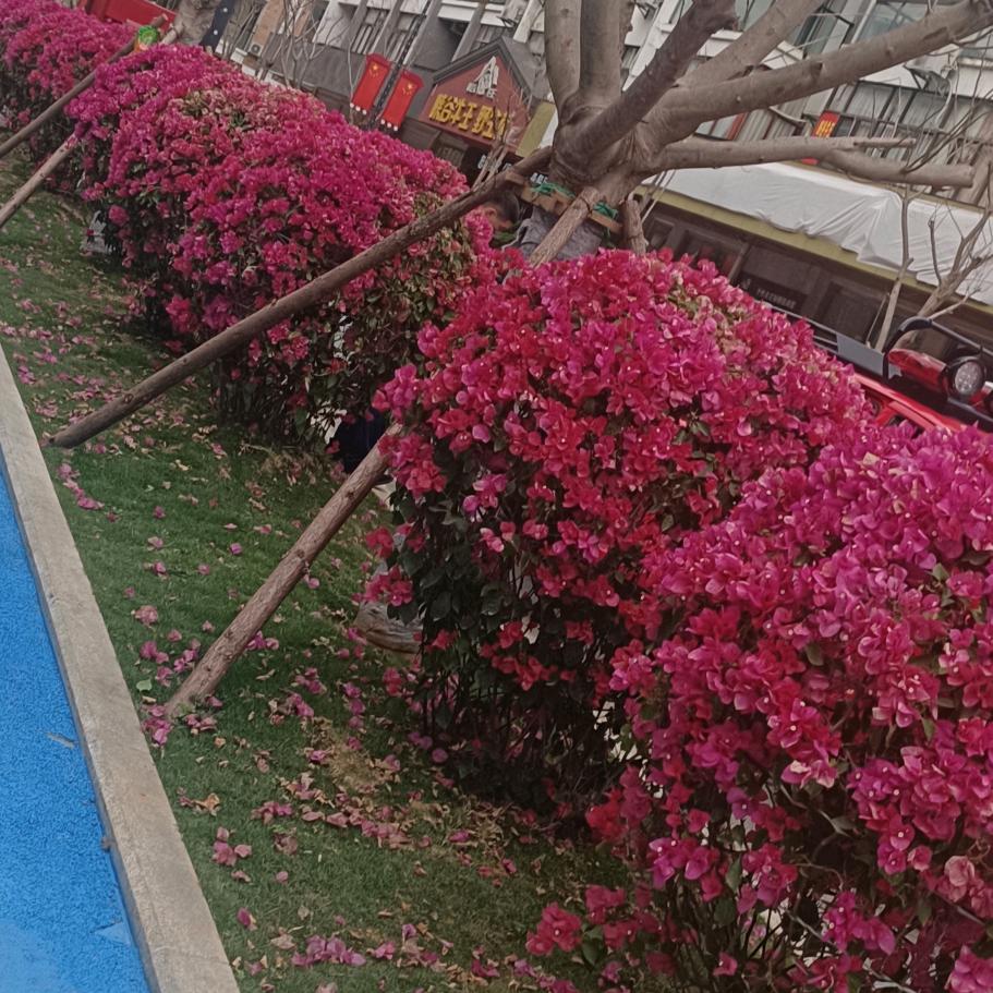 互相认识