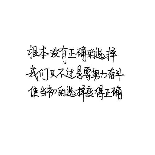 沈阳专注修车20年 （奥迪大众专修)