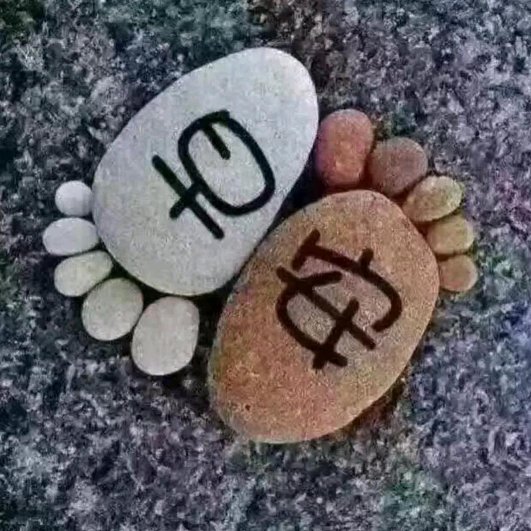 🍂秋天来了