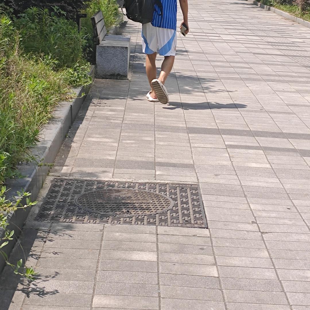 哪里来的小猫咪