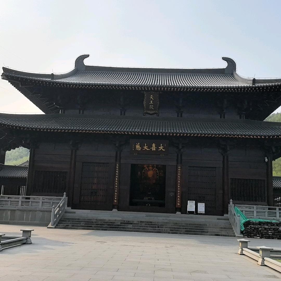 龙哥崛起