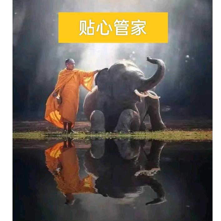 贴馨管家家政服务