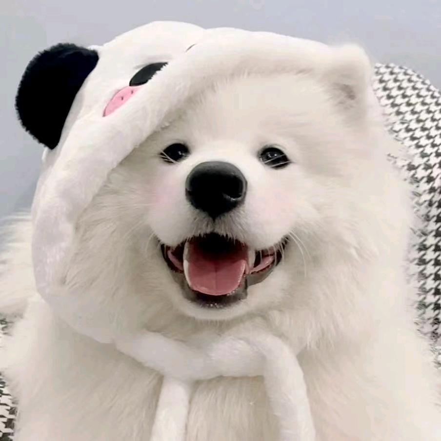 陕西AA木工钢筋工混凝土工架子工人员集散