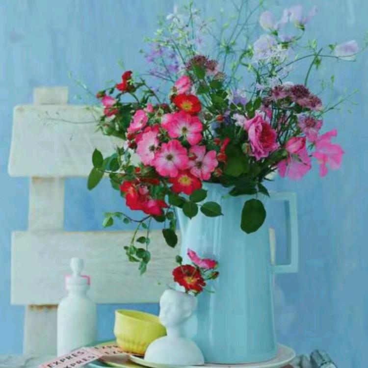 三好先生用户7275956091535