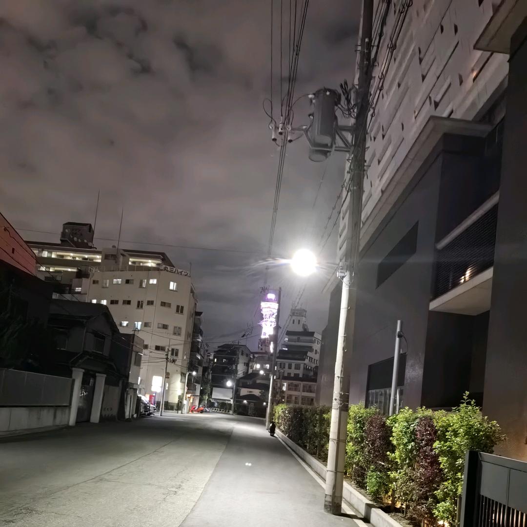 旅行人