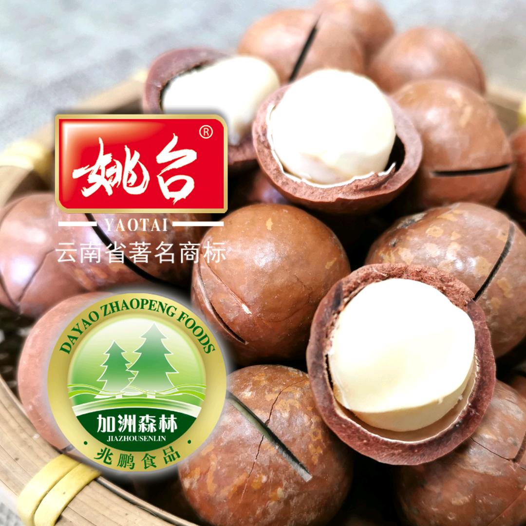 云南核桃夏果