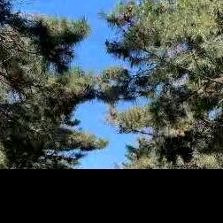 梦想哥