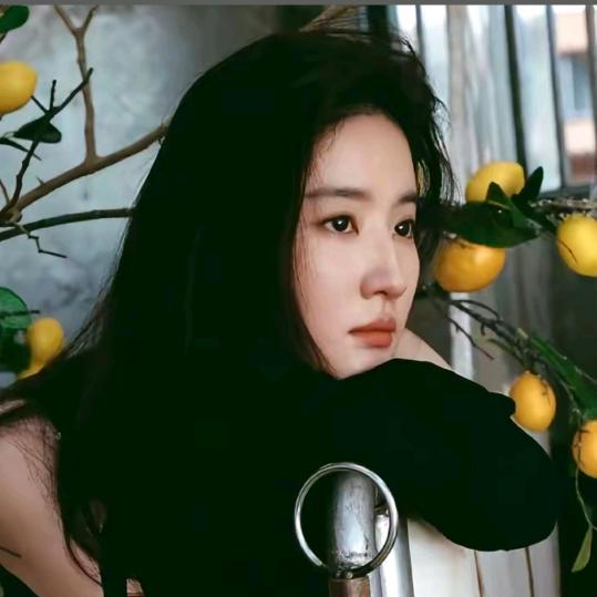 苏丹吖