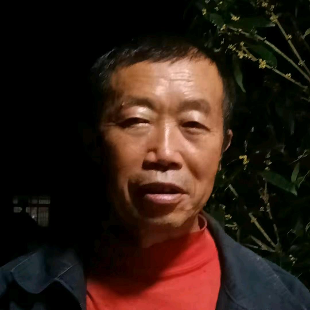 袁老晚上九点直播