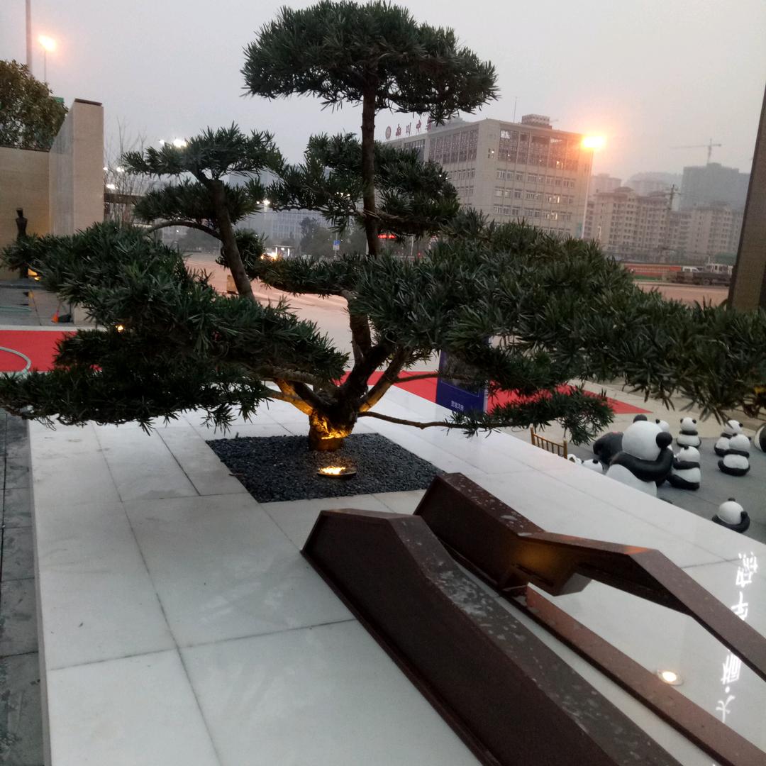 独来独往