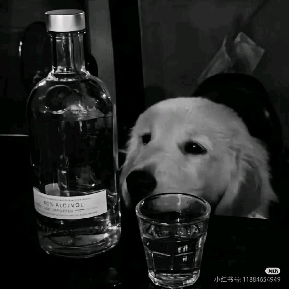 扶老奶奶闯红灯