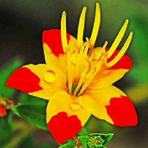 开❤️快乐✌️