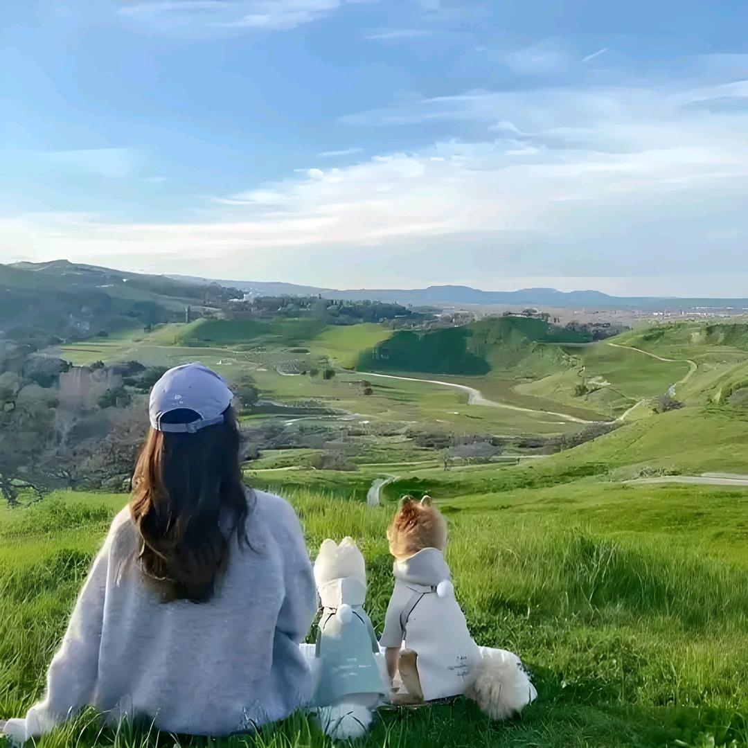 『浙里购』吃喝玩乐💋