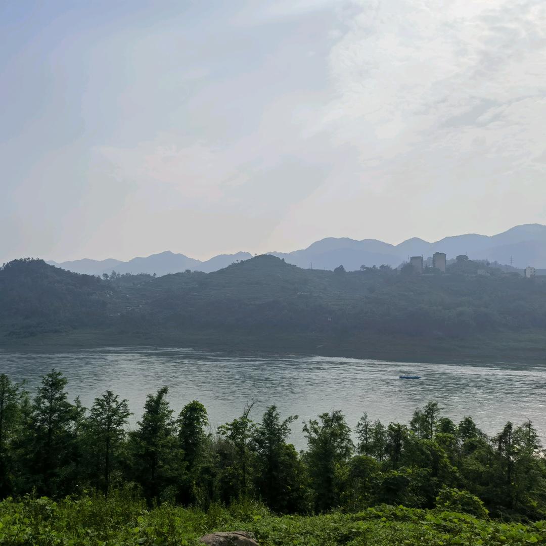 像雾像雨又像风🍃
